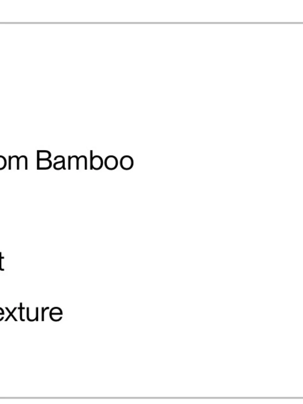 New!! Cozy Earth bamboo coverlet